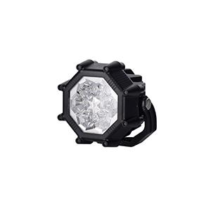 LED Rear Light Cluster Carmen